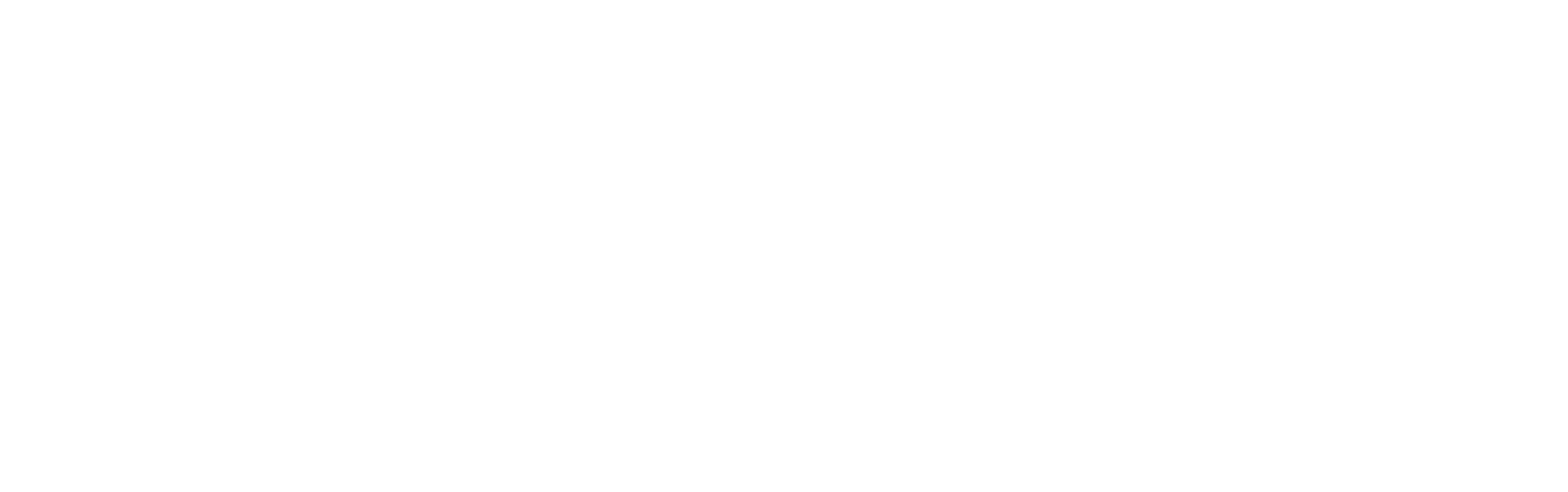 Shopify_logo_2018.svg copy