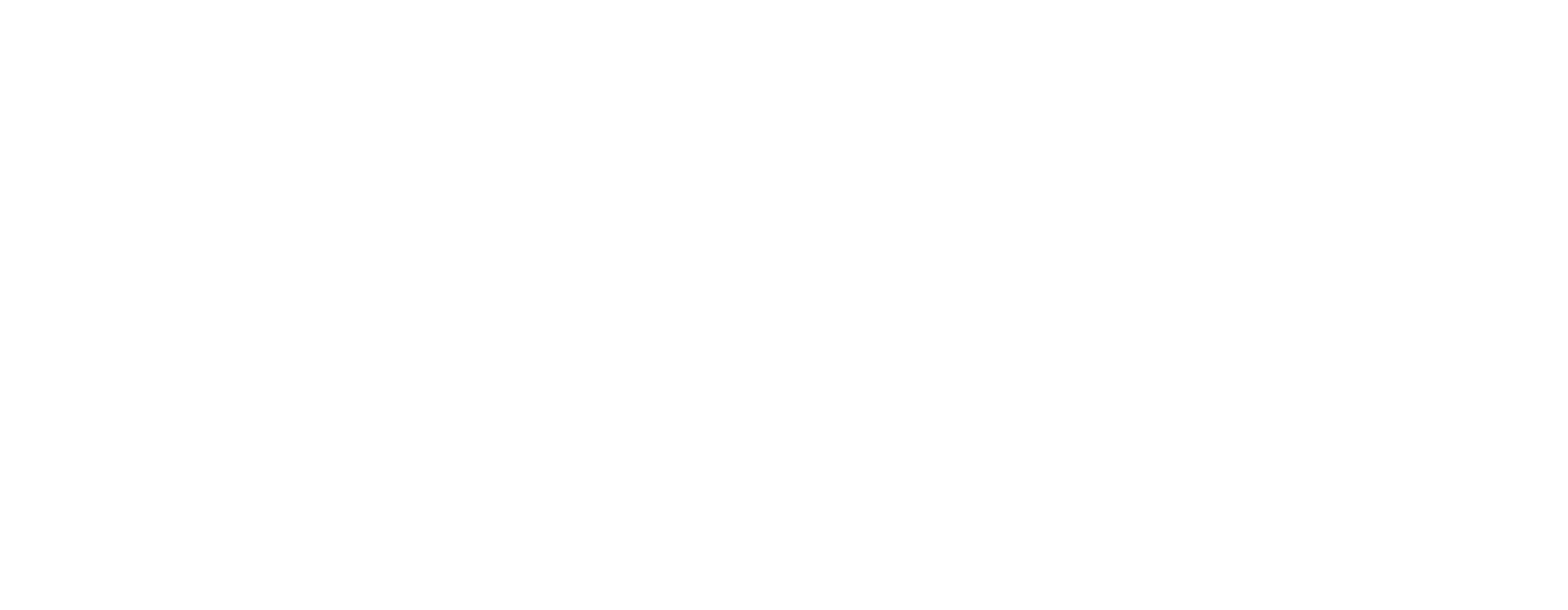 Wix.com_website_logo.svg copy